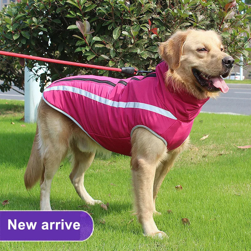 Manteau d'Hiver Imperméable & Chaud pour Grand Chien – Polar Shield par Animopolis