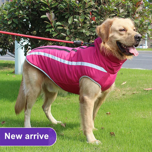 Manteau d'Hiver Imperméable & Chaud pour Grand Chien – Polar Shield par Animopolis