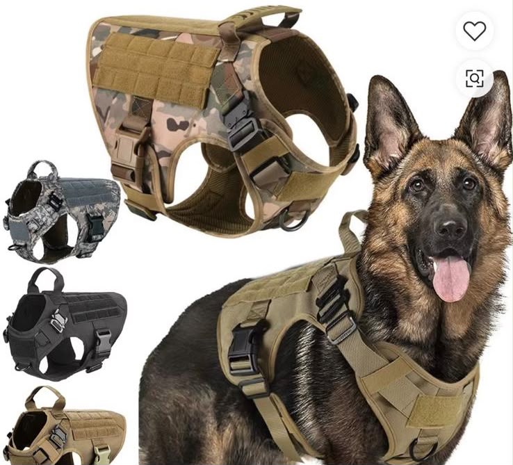 Harnais Tactique Premium pour Chien – Confort, Contrôle et Sécurité